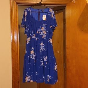 Torrid Chiffon Skater Dress